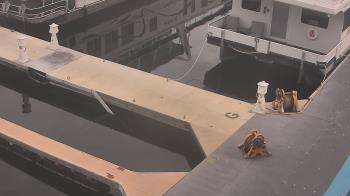 Weather camera view of Lake Powell Resorts and Marinas - Wahweap Marina.