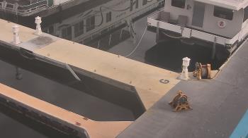 Weather camera view of Lake Powell Resorts and Marinas - Wahweap Marina.