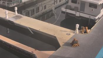 Weather camera view of Lake Powell Resorts and Marinas - Wahweap Marina.