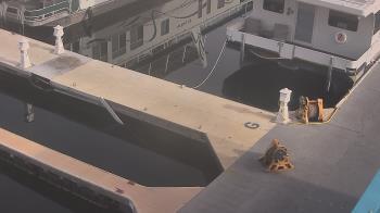 Weather camera view of Lake Powell Resorts and Marinas - Wahweap Marina.