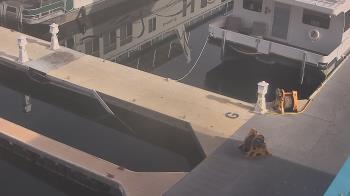 Weather camera view of Lake Powell Resorts and Marinas - Wahweap Marina.