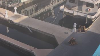 Weather camera view of Lake Powell Resorts and Marinas - Wahweap Marina.