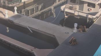 Weather camera view of Lake Powell Resorts and Marinas - Wahweap Marina.