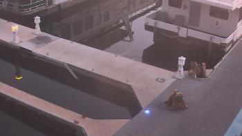 Weather camera view of Lake Powell Resorts and Marinas - Wahweap Marina.