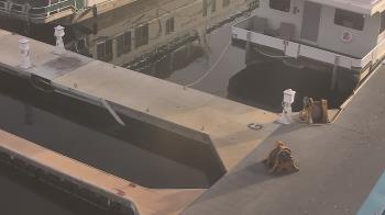 Weather camera view of Lake Powell Resorts and Marinas - Wahweap Marina.