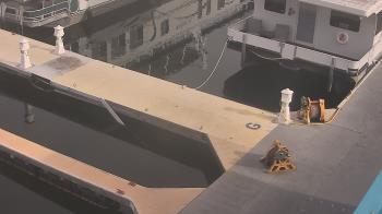 Weather camera view of Lake Powell Resorts and Marinas - Wahweap Marina.