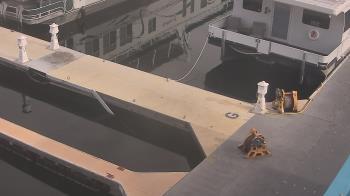 Weather camera view of Lake Powell Resorts and Marinas - Wahweap Marina.