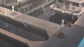Weather camera view of Lake Powell Resorts and Marinas - Wahweap Marina.