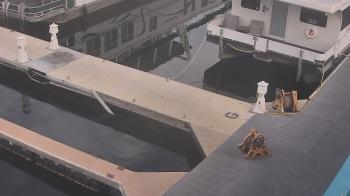 Weather camera view of Lake Powell Resorts and Marinas - Wahweap Marina.
