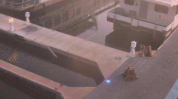 Weather camera view of Lake Powell Resorts and Marinas - Wahweap Marina.