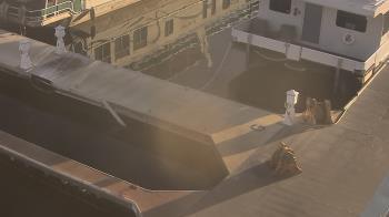 Weather camera view of Lake Powell Resorts and Marinas - Wahweap Marina.