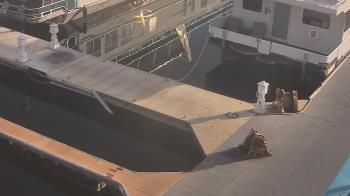 Weather camera view of Lake Powell Resorts and Marinas - Wahweap Marina.