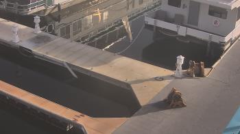Weather camera view of Lake Powell Resorts and Marinas - Wahweap Marina.