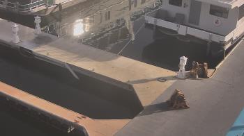 Weather camera view of Lake Powell Resorts and Marinas - Wahweap Marina.