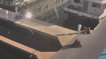 Weather camera view of Lake Powell Resorts and Marinas - Wahweap Marina.