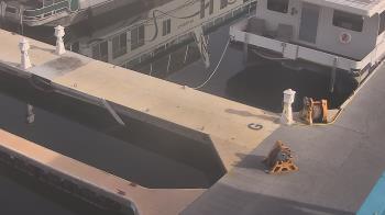 Weather camera view of Lake Powell Resorts and Marinas - Wahweap Marina.