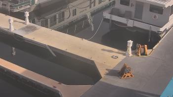 Weather camera view of Lake Powell Resorts and Marinas - Wahweap Marina.