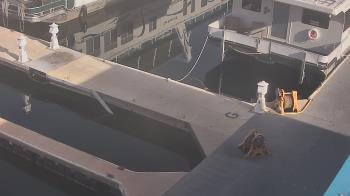 Weather camera view of Lake Powell Resorts and Marinas - Wahweap Marina.