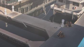 Weather camera view of Lake Powell Resorts and Marinas - Wahweap Marina.