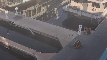 Weather camera view of Lake Powell Resorts and Marinas - Wahweap Marina.