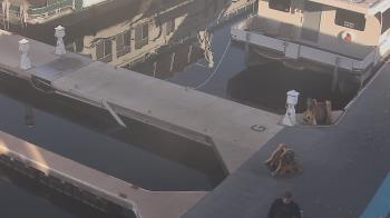 Weather camera view of Lake Powell Resorts and Marinas - Wahweap Marina.