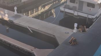 Weather camera view of Lake Powell Resorts and Marinas - Wahweap Marina.