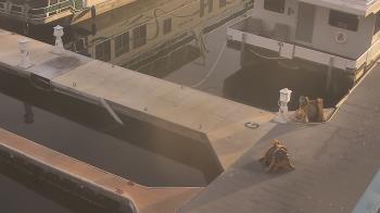 Weather camera view of Lake Powell Resorts and Marinas - Wahweap Marina.