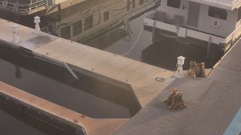 Weather camera view of Lake Powell Resorts and Marinas - Wahweap Marina.
