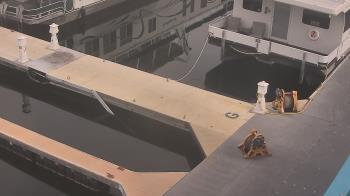 Weather camera view of Lake Powell Resorts and Marinas - Wahweap Marina.