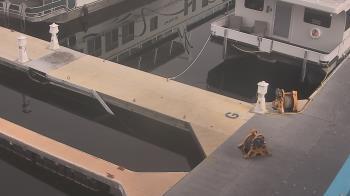 Weather camera view of Lake Powell Resorts and Marinas - Wahweap Marina.