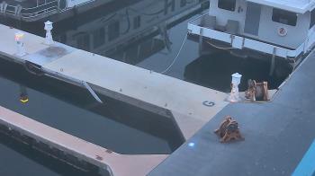 Weather camera view of Lake Powell Resorts and Marinas - Wahweap Marina.