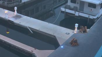 Weather camera view of Lake Powell Resorts and Marinas - Wahweap Marina.