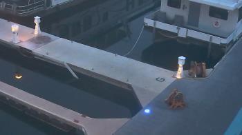 Weather camera view of Lake Powell Resorts and Marinas - Wahweap Marina.