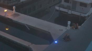 Weather camera view of Lake Powell Resorts and Marinas - Wahweap Marina.