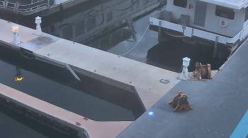 Weather camera view of Lake Powell Resorts and Marinas - Wahweap Marina.