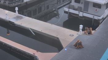 Weather camera view of Lake Powell Resorts and Marinas - Wahweap Marina.