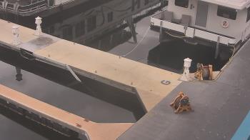 Weather camera view of Lake Powell Resorts and Marinas - Wahweap Marina.