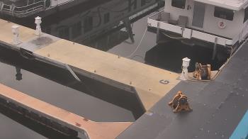 Weather camera view of Lake Powell Resorts and Marinas - Wahweap Marina.