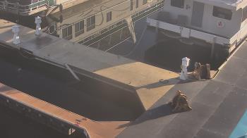 Weather camera view of Lake Powell Resorts and Marinas - Wahweap Marina.