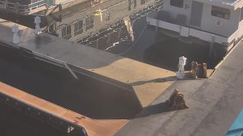 Weather camera view of Lake Powell Resorts and Marinas - Wahweap Marina.