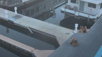 Weather camera view of Lake Powell Resorts and Marinas - Wahweap Marina.