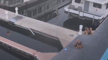 Weather camera view of Lake Powell Resorts and Marinas - Wahweap Marina.