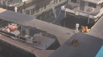 Weather camera view of Lake Powell Resorts and Marinas - Wahweap Marina.
