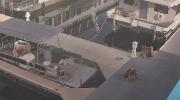 Weather camera view of Lake Powell Resorts and Marinas - Wahweap Marina.
