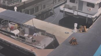Weather camera view of Lake Powell Resorts and Marinas - Wahweap Marina.