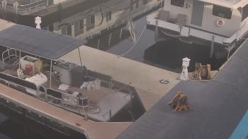 Weather camera view of Lake Powell Resorts and Marinas - Wahweap Marina.