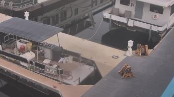 Weather camera view of Lake Powell Resorts and Marinas - Wahweap Marina.