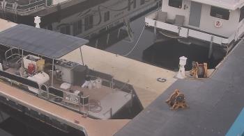 Weather camera view of Lake Powell Resorts and Marinas - Wahweap Marina.
