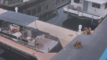 Weather camera view of Lake Powell Resorts and Marinas - Wahweap Marina.