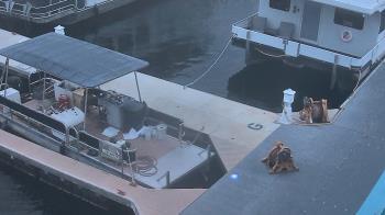 Weather camera view of Lake Powell Resorts and Marinas - Wahweap Marina.